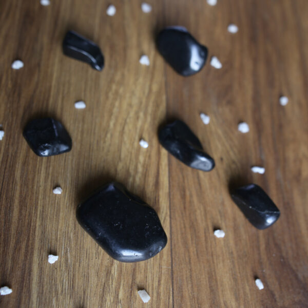 Shungite Pebble - Image 2