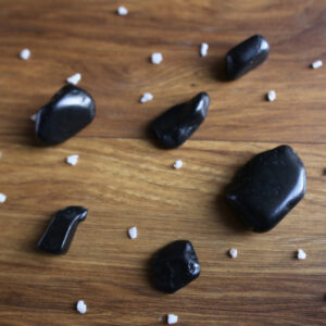 Shungite Pebble